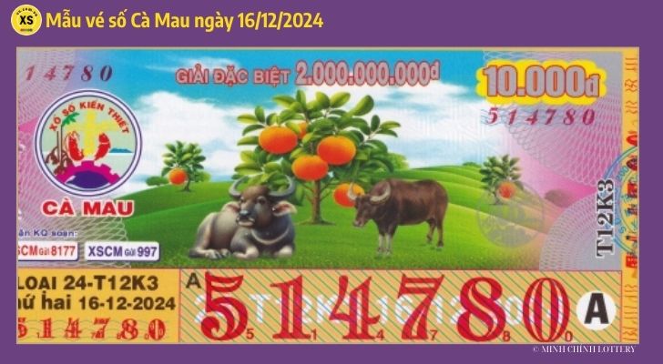 Tham khảo XSCM 1612 Thống kê và phân tích xổ số Cà Mau ngày 16122024 1 Tham khảo XSCM 1612 Thống kê và phân tích xổ số Cà Mau ngày 16122024 1