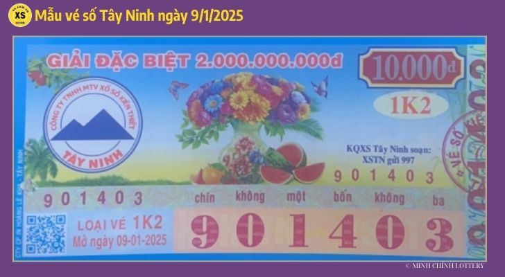 Tham khảo XSTN 91 Thống kê và phân tích xổ số Tây Ninh ngày 912025 1 Tham khảo XSTN 91 Thống kê và phân tích xổ số Tây Ninh ngày 912025 1